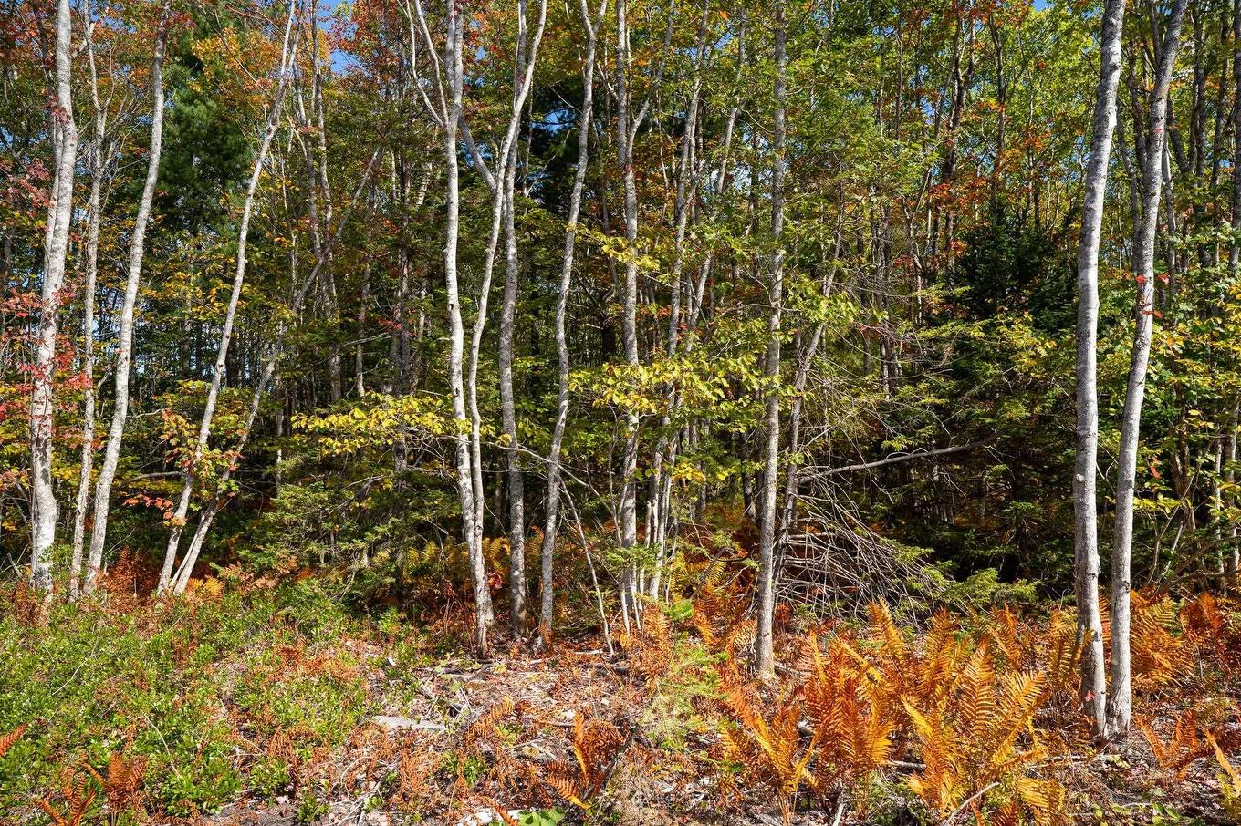 68 Morton Drive, Liverpool, NS