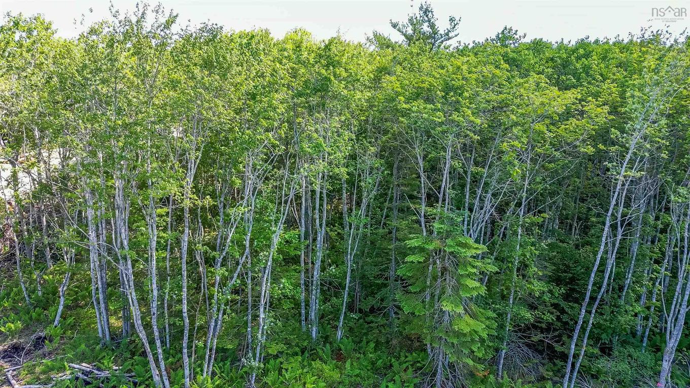 68 Morton Drive, Liverpool, NS