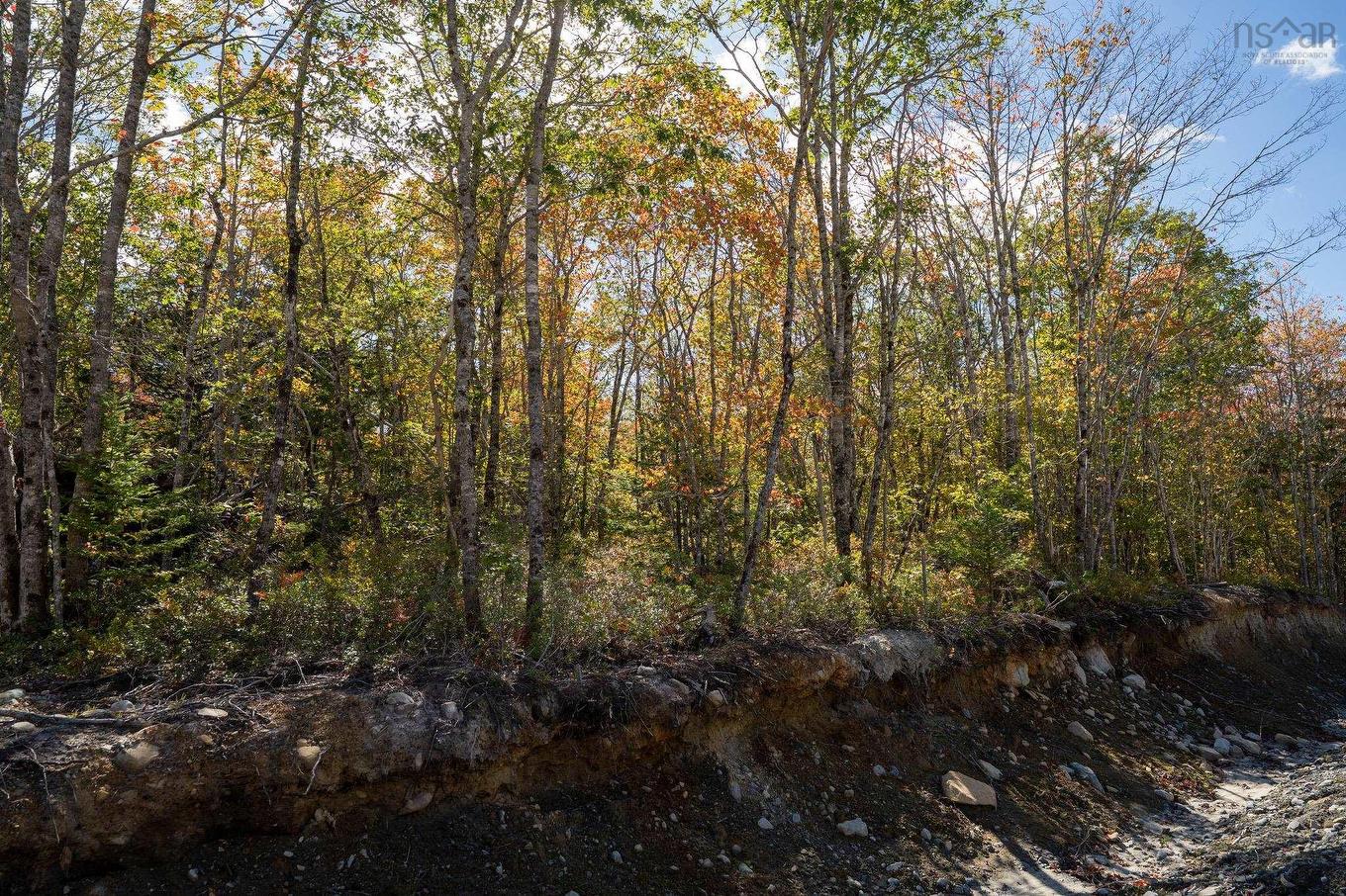 67 Morton Drive, Liverpool, NS