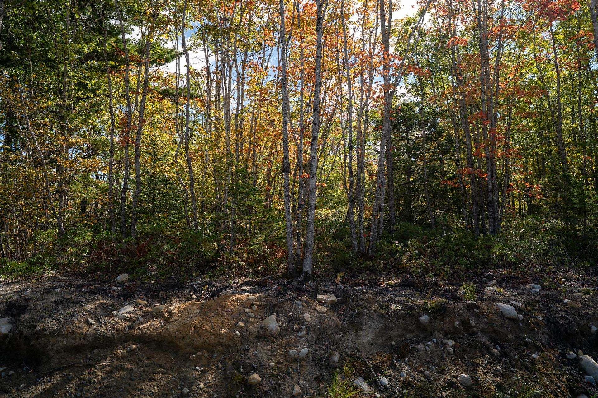 88 Morton Drive, Liverpool, NS