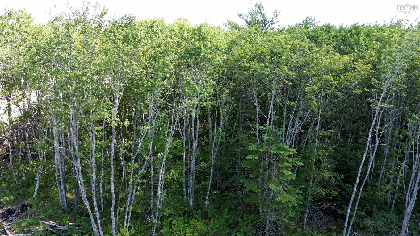 90 Morton Drive, Liverpool, NS