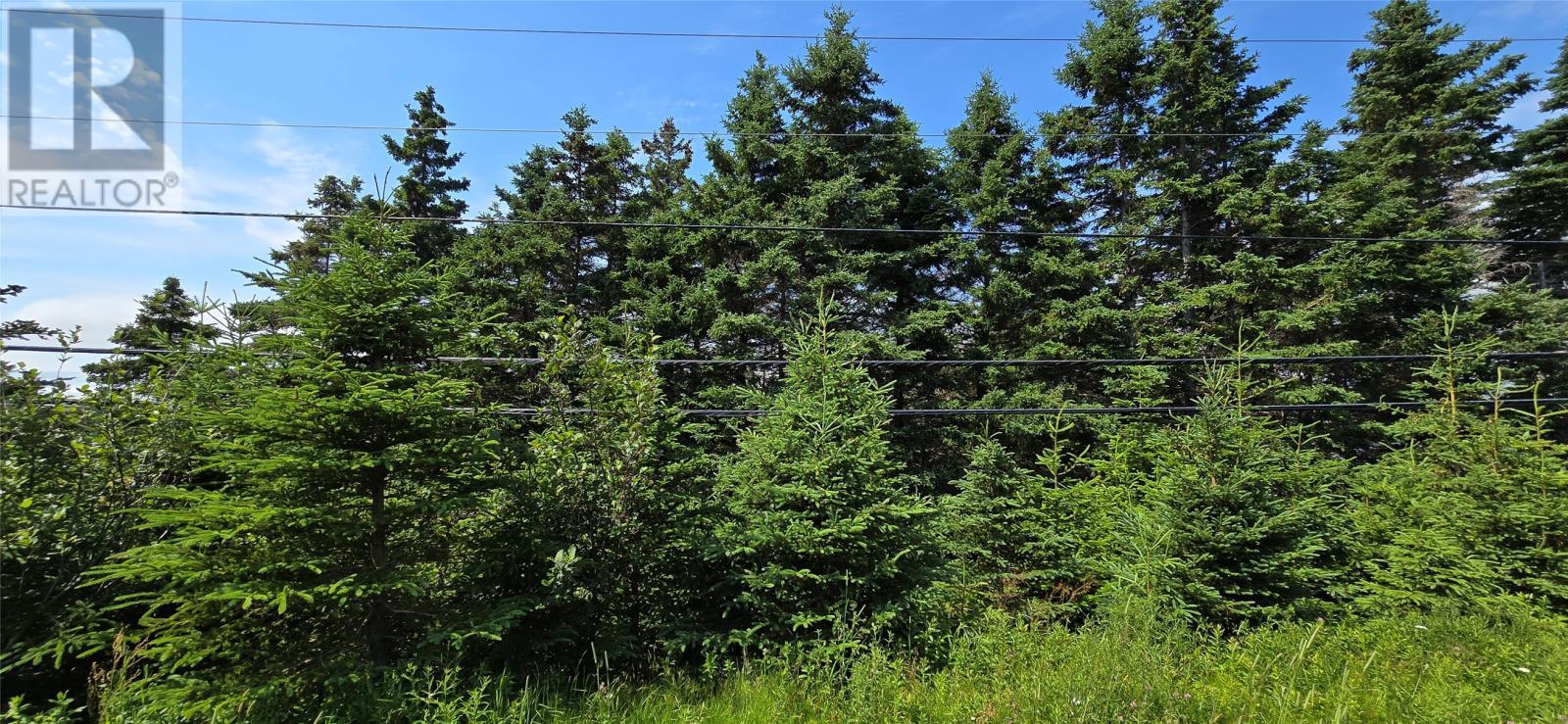 160-166 Creston Boulevard, Marystown, NL