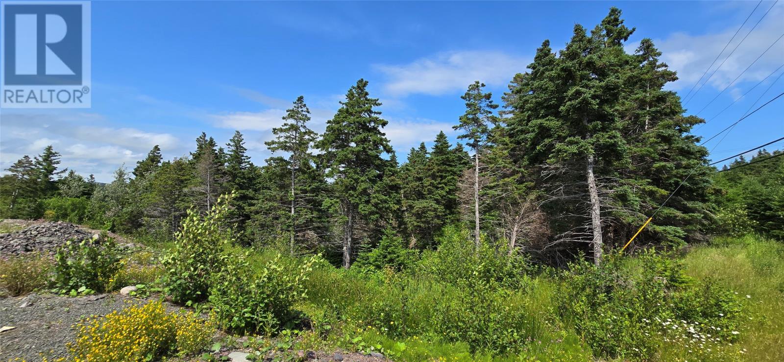 160-166 Creston Boulevard, Marystown, NL