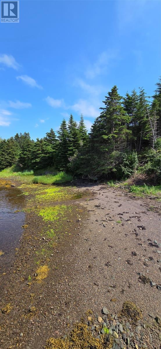 160-166 Creston Boulevard, Marystown, NL