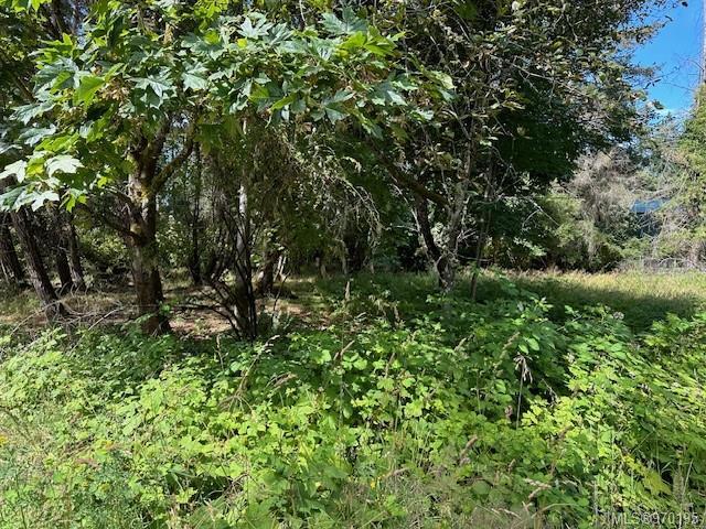 Lot 25 Whalebone Rd, Gabriola Island, BC