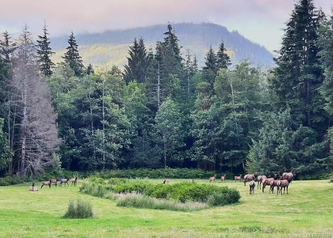 973 Island Hwy, Sayward, BC