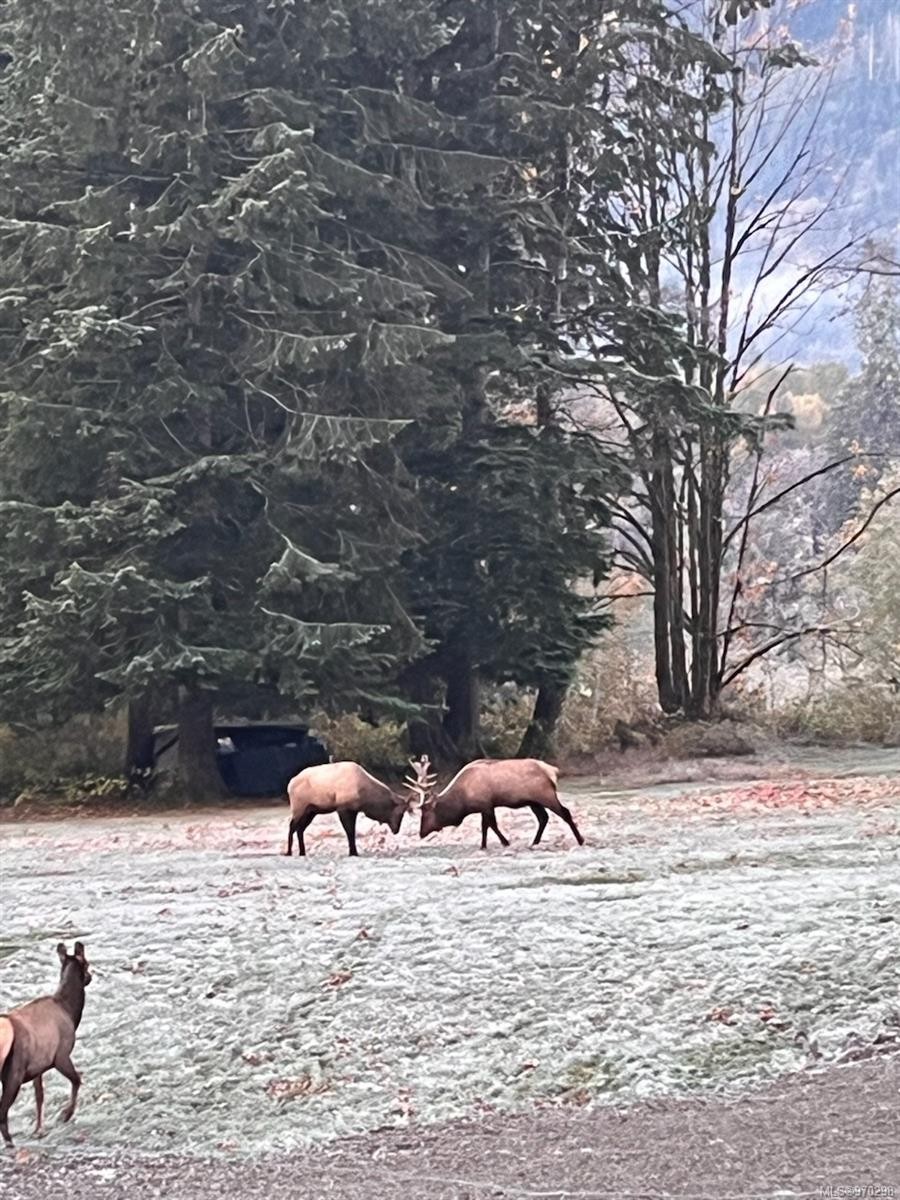 973 Island Hwy, Sayward, BC