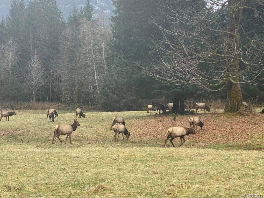 973 Island Hwy, Sayward, BC