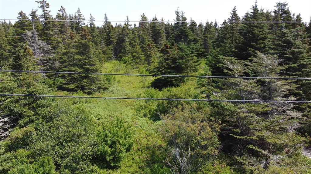 0 Mcnamara Crescent, Harbour Grace, NL