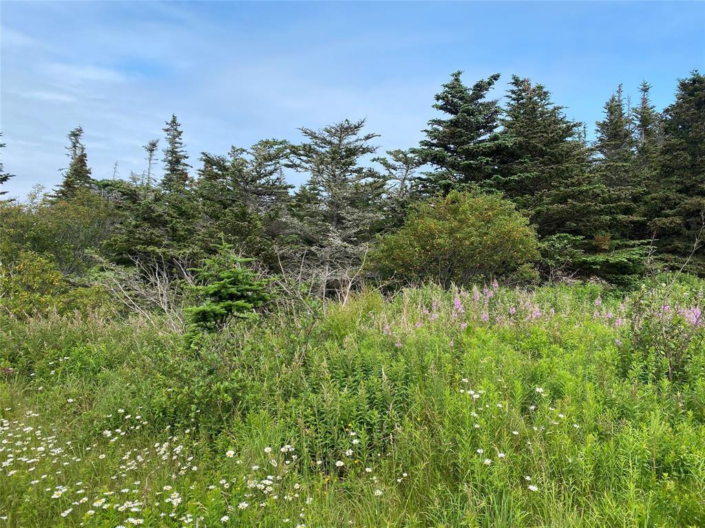 0 Mcnamara Crescent, Harbour Grace, NL