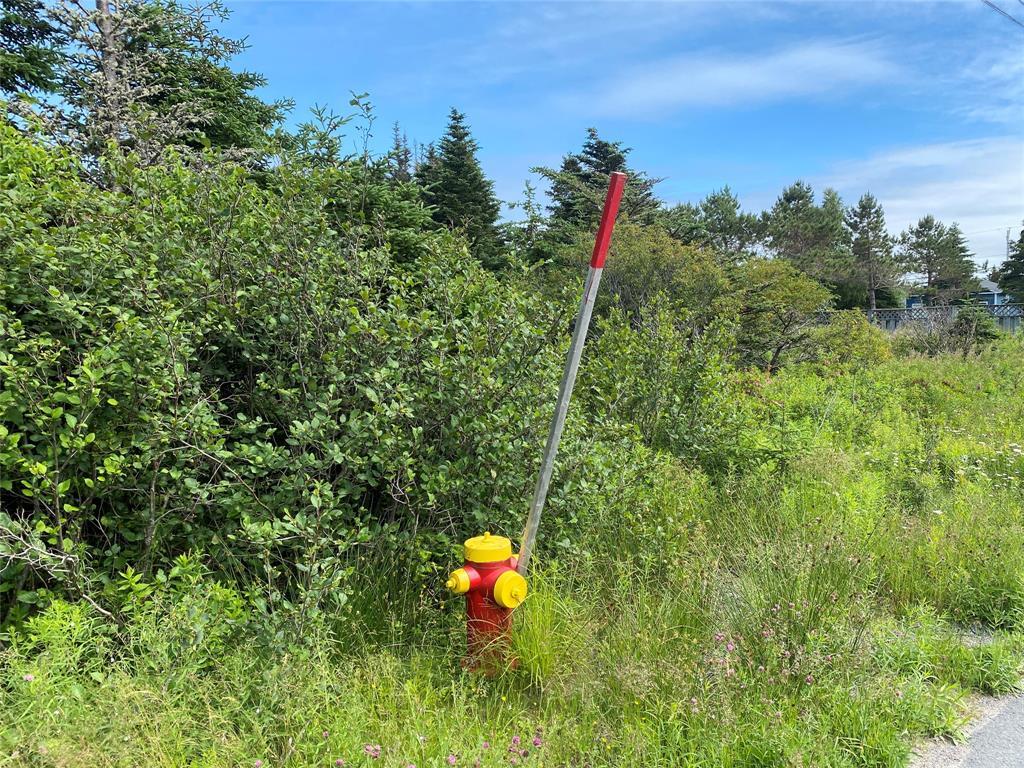 0 Mcnamara Crescent, Harbour Grace, NL