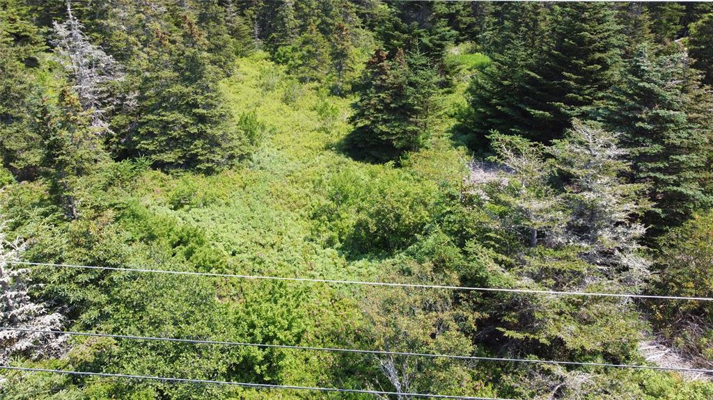 0 Mcnamara Crescent, Harbour Grace, NL