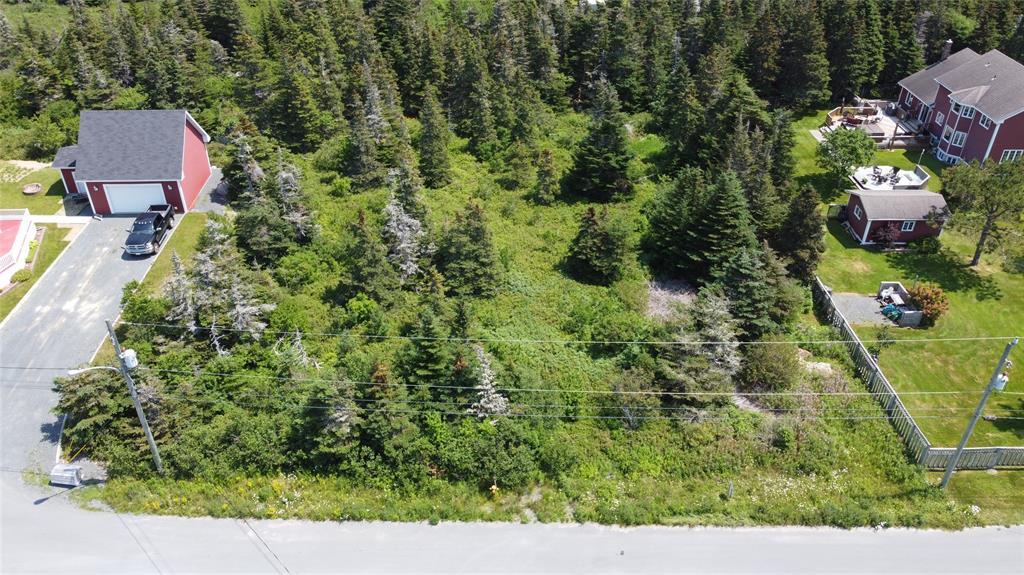 0 Mcnamara Crescent, Harbour Grace, NL