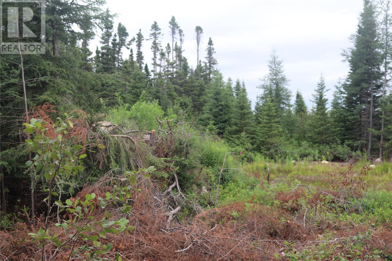 8A Sandy Stream Road, Howley, NL