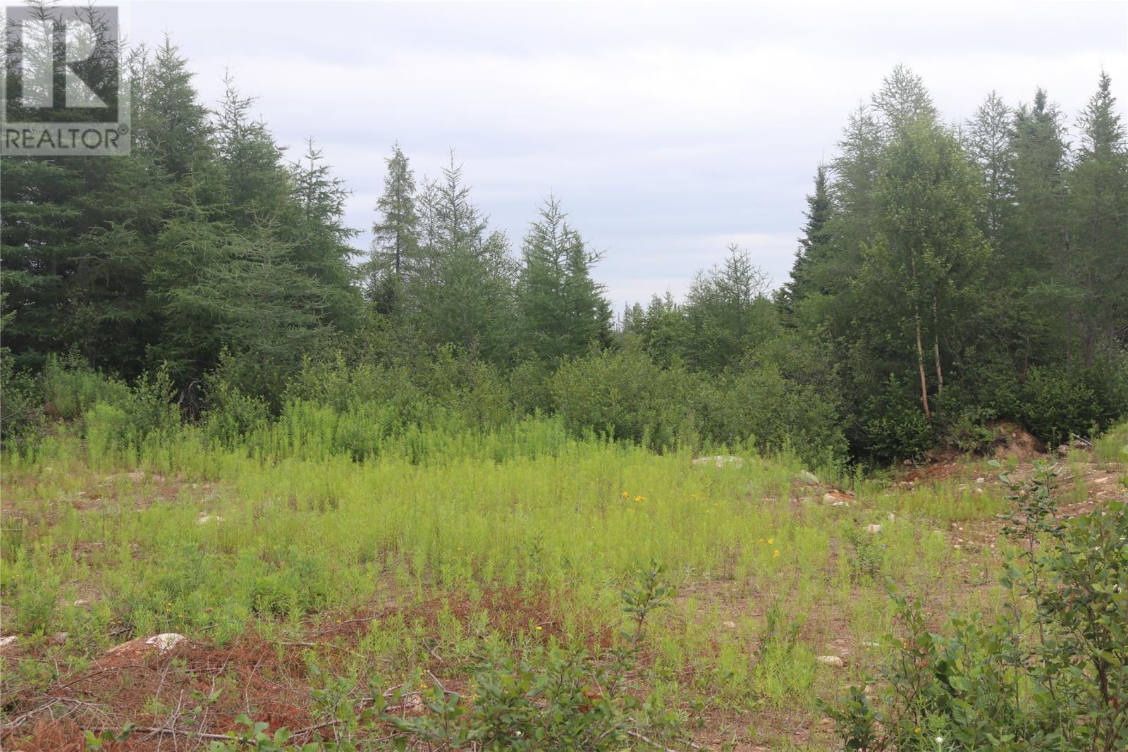 8A Sandy Stream Road, Howley, NL