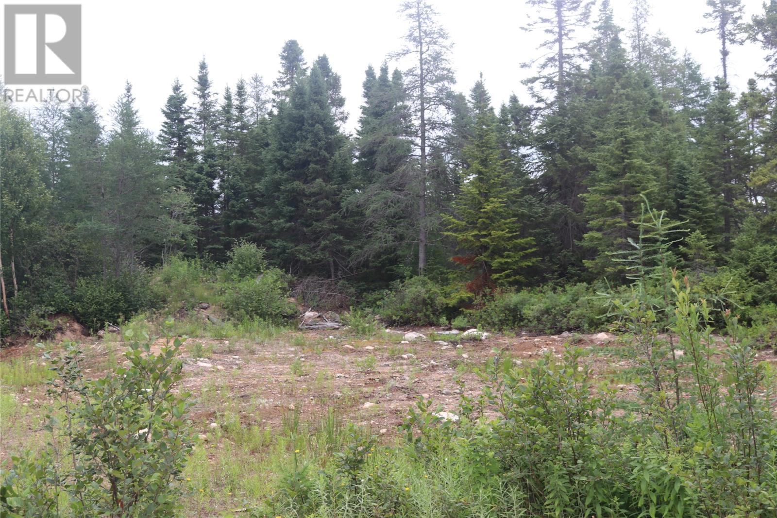 8A Sandy Stream Road, Howley, NL