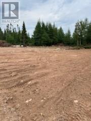 8A Sandy Stream Road, Howley, NL