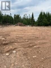 8A Sandy Stream Road, Howley, NL