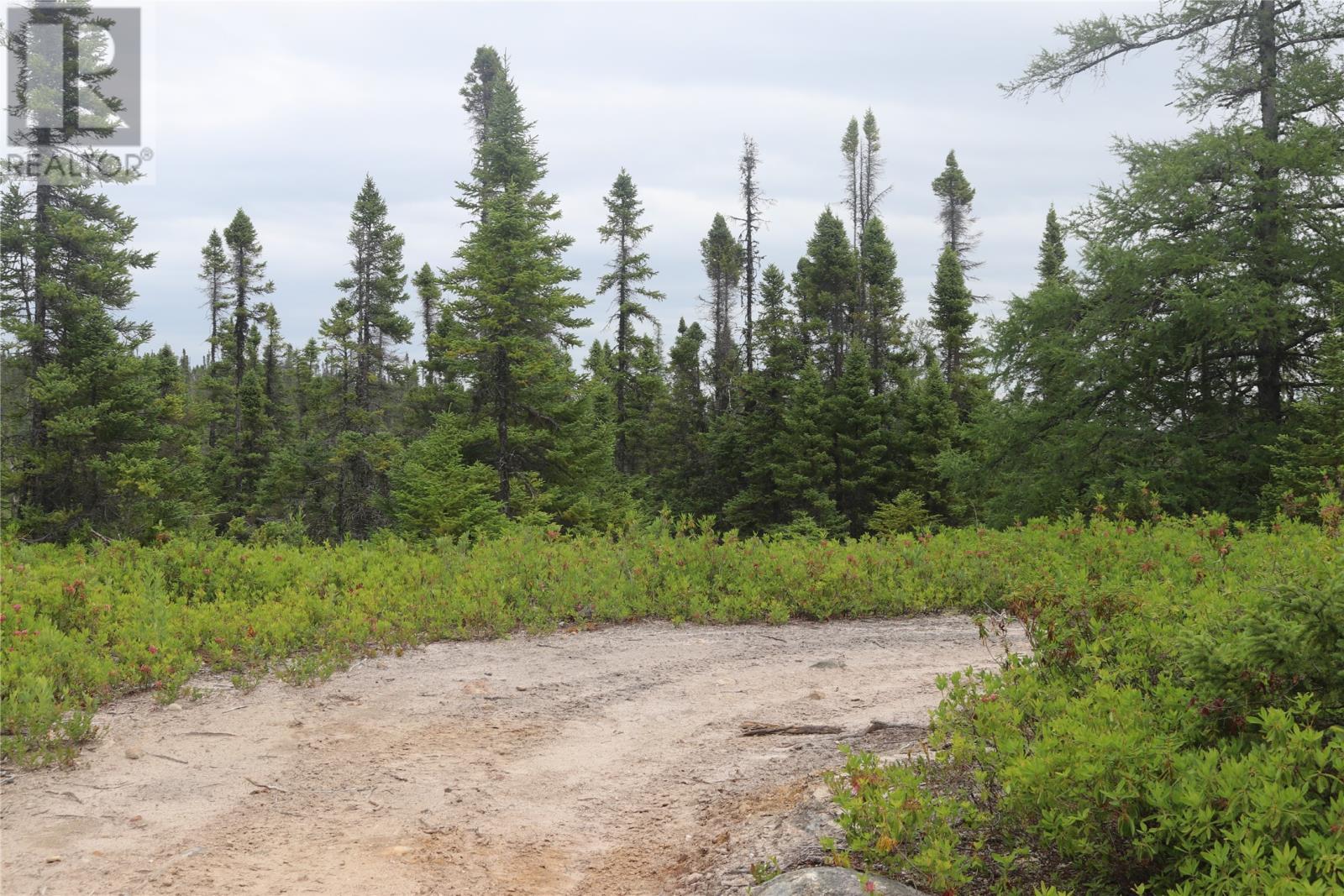 Lot 25-26 Sandy Stream Road, Howley, NL