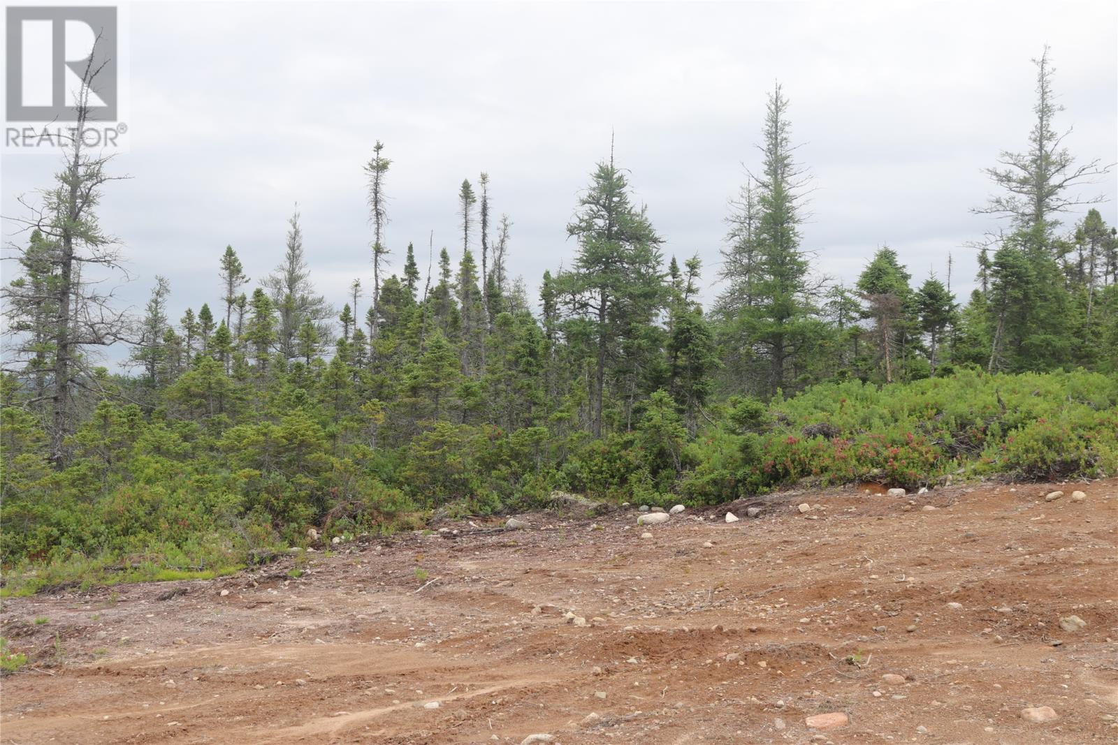 Lot 25-26 Sandy Stream Road, Howley, NL