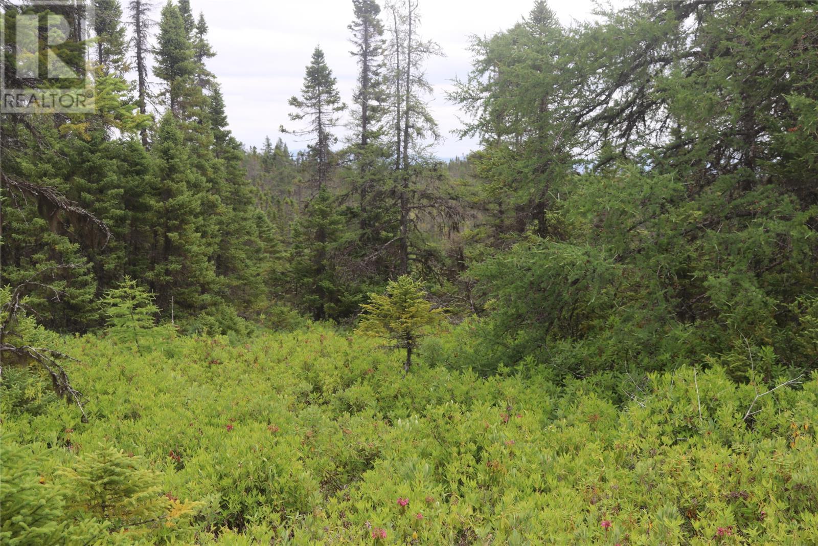 Lot 25-26 Sandy Stream Road, Howley, NL