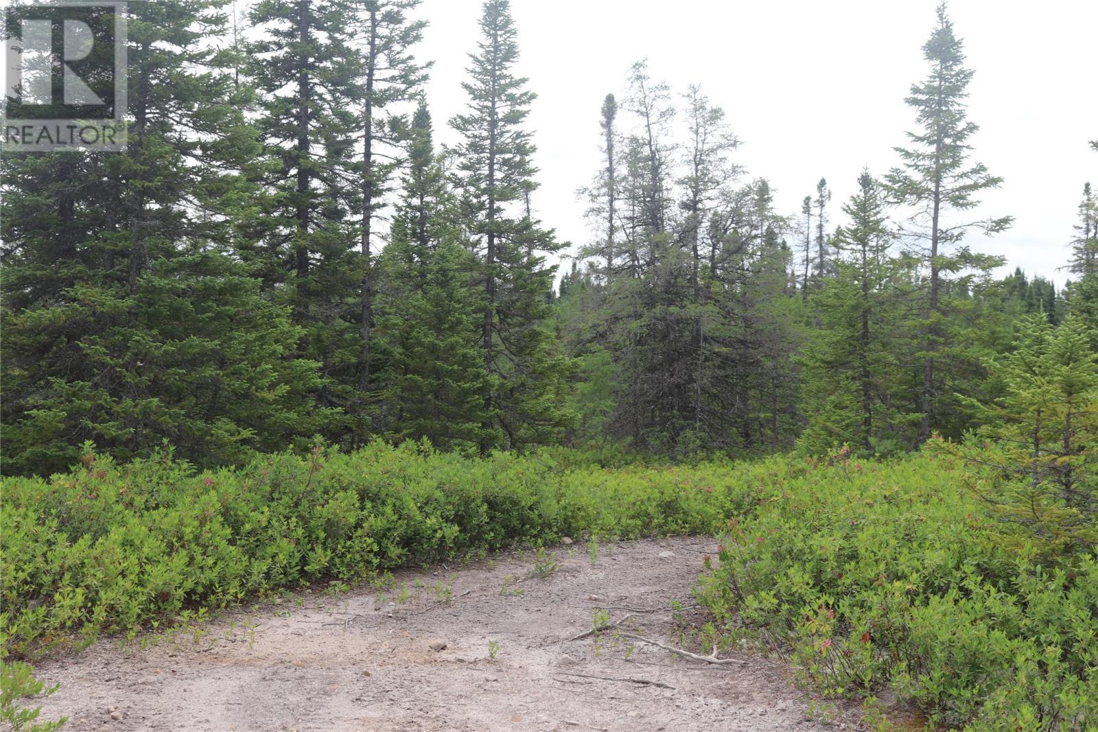 Lot 25-26 Sandy Stream Road, Howley, NL