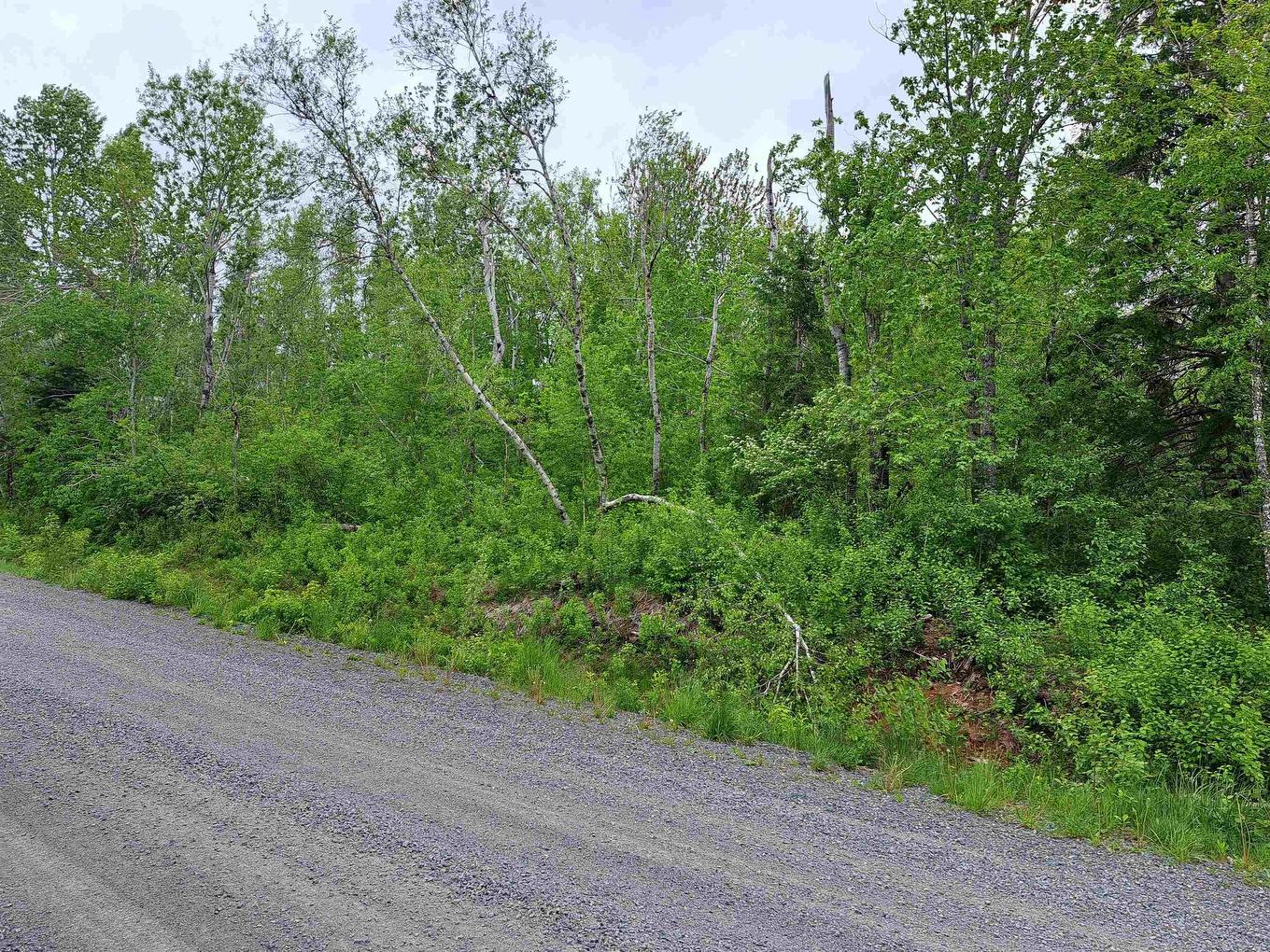 4 Mattatal Branch Road, West Tatamagouche, NS