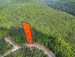 36 Ch. de l'Éclipse Val-Des-Monts, QC J8N 1A2