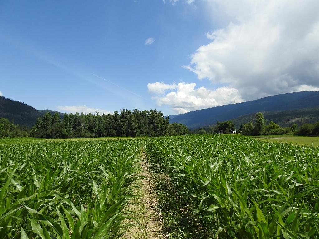 7160 97-A Highway, Grindrod, BC