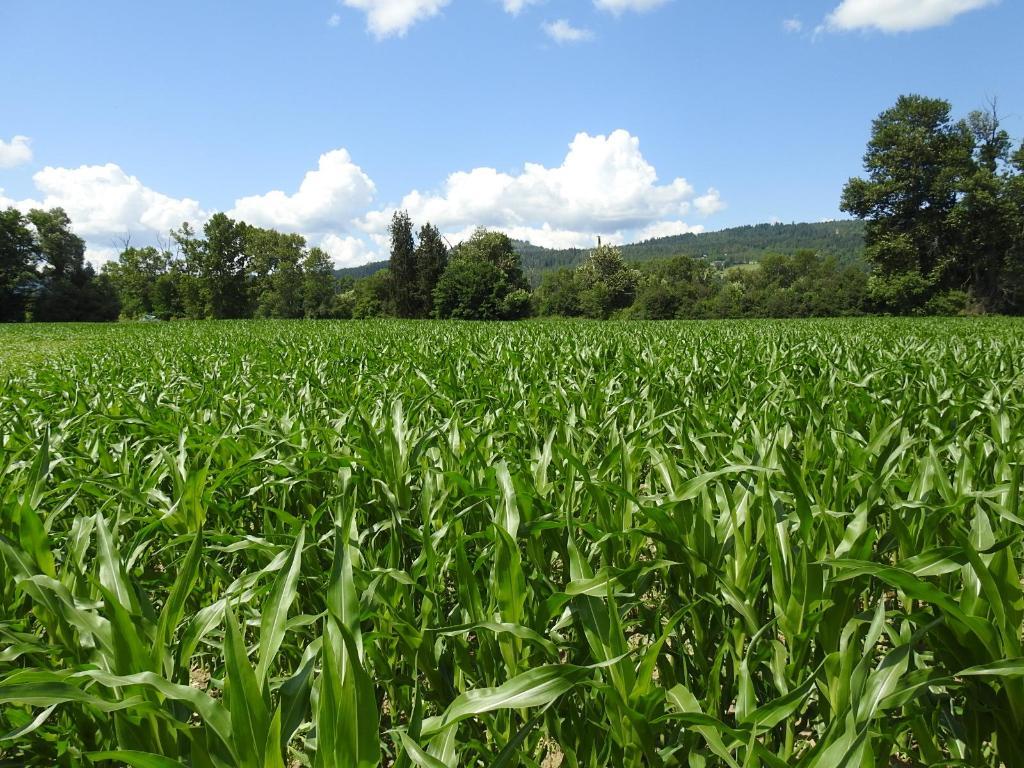 7160 97-A Highway, Grindrod, BC