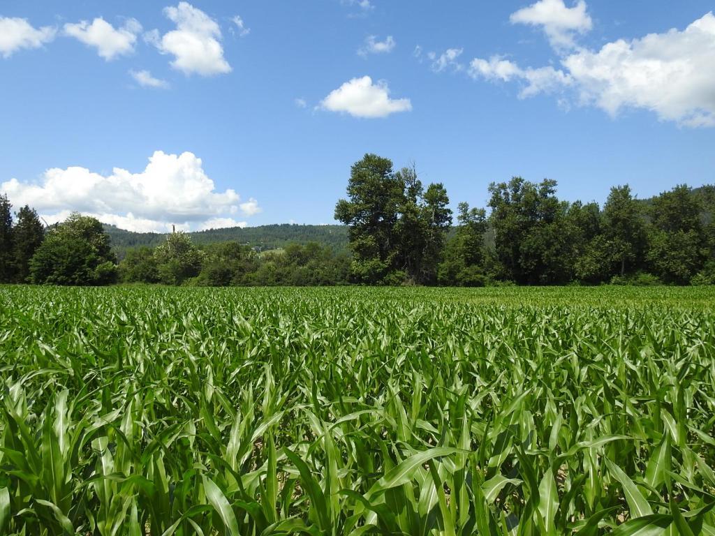 7160 97-A Highway, Grindrod, BC