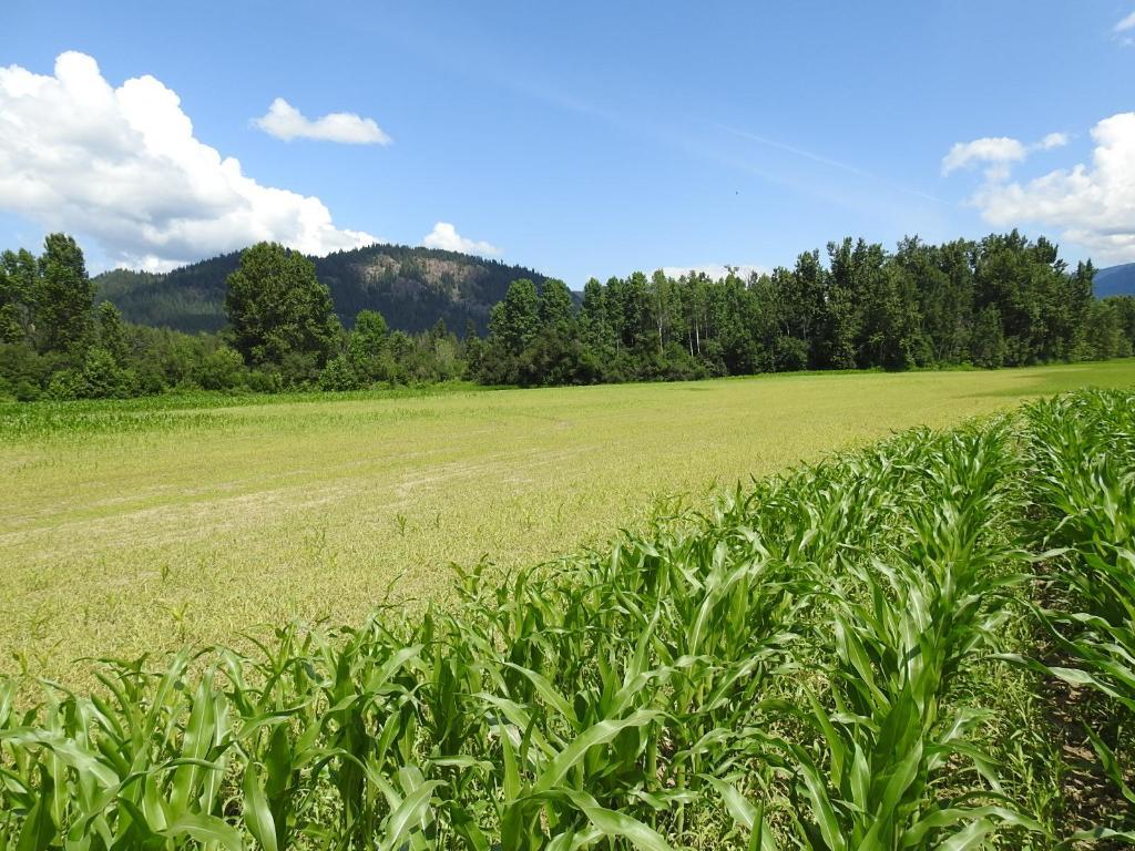 7160 97-A Highway, Grindrod, BC