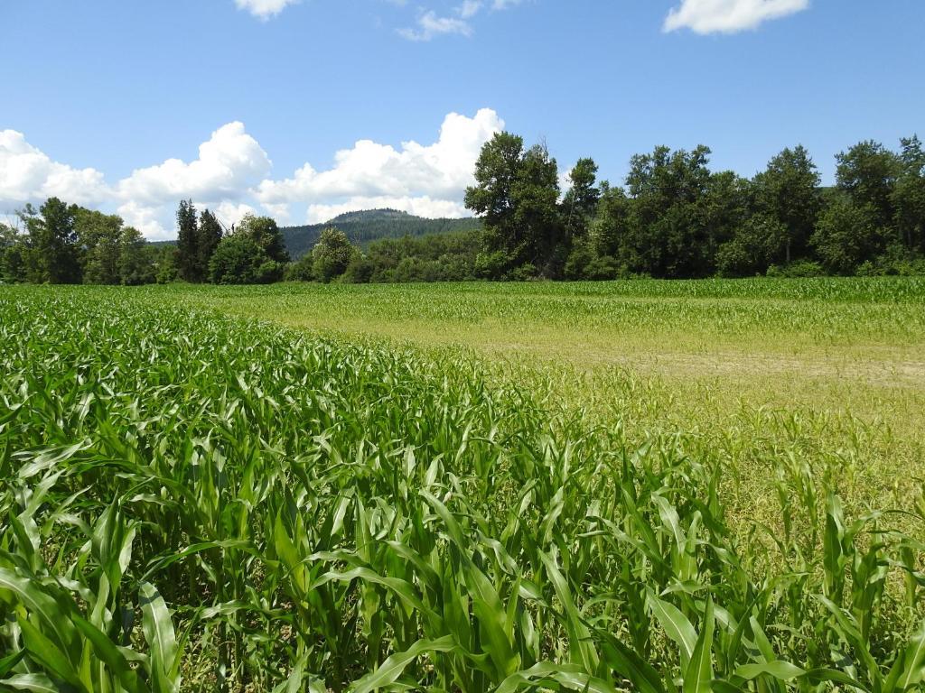 7160 97-A Highway, Grindrod, BC