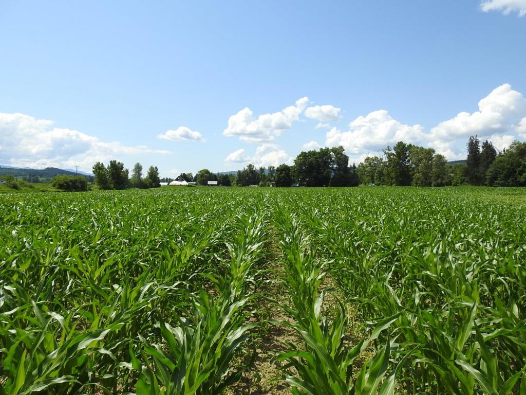 7160 97-A Highway, Grindrod, BC