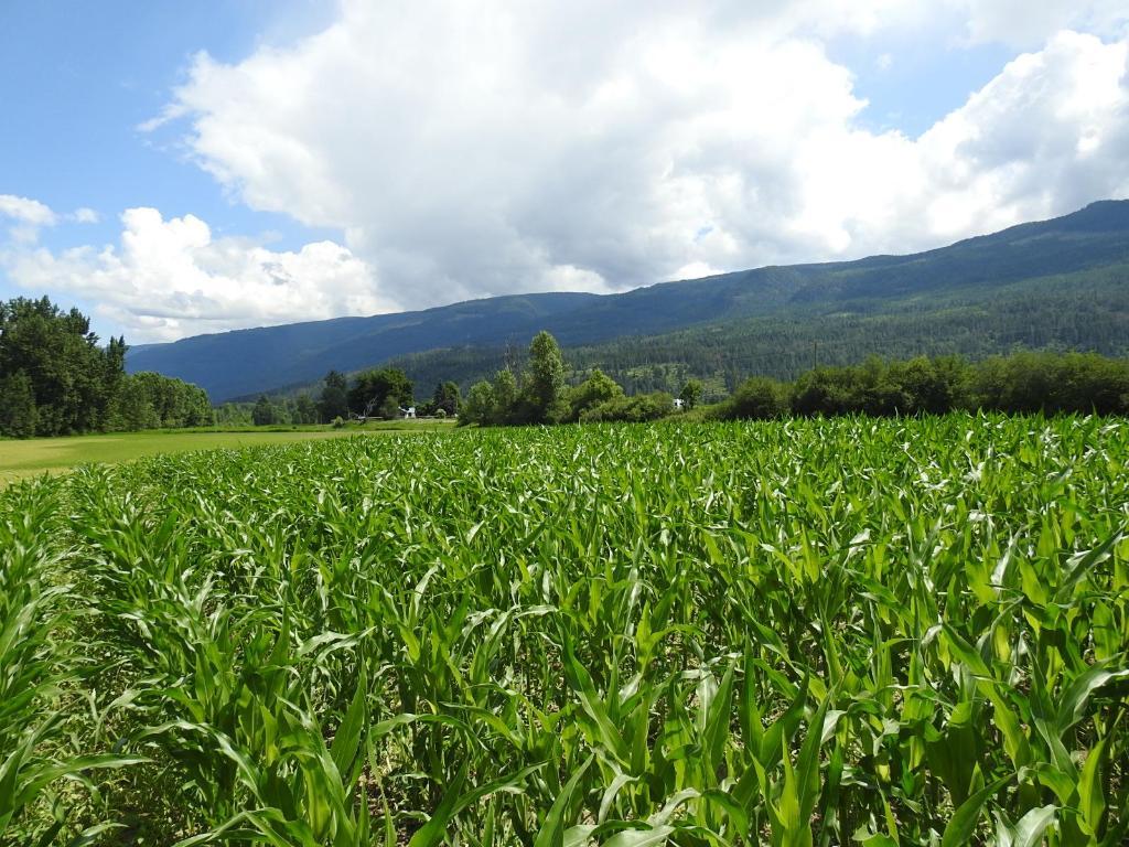 7160 97-A Highway, Grindrod, BC