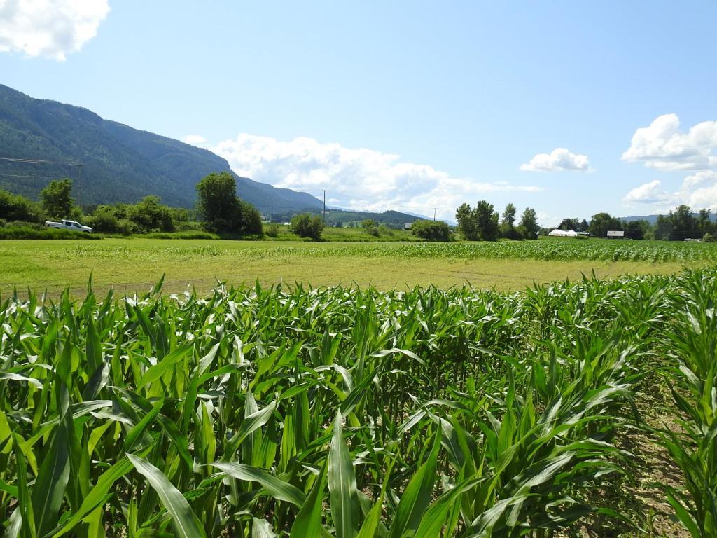 7160 97-A Highway, Grindrod, BC