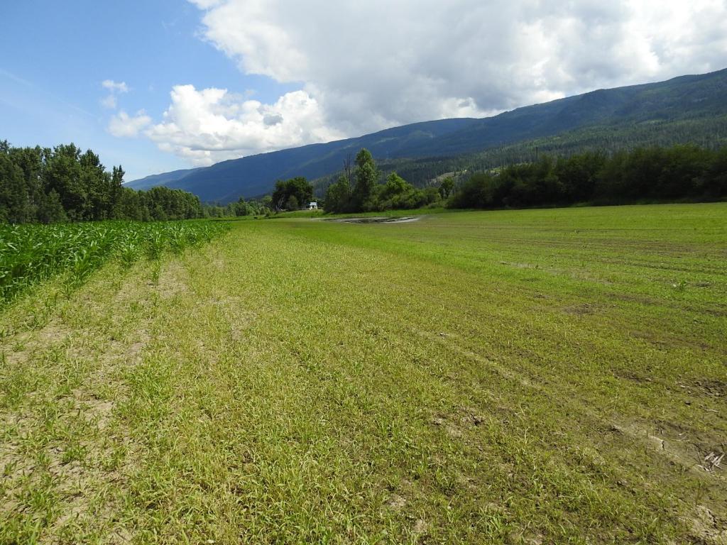 7160 97-A Highway, Grindrod, BC