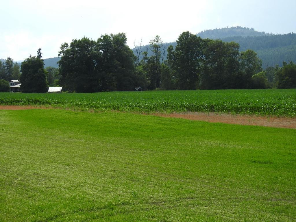 7160 97-A Highway, Grindrod, BC