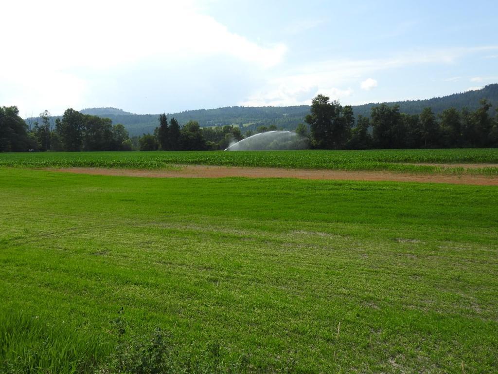 7160 97-A Highway, Grindrod, BC