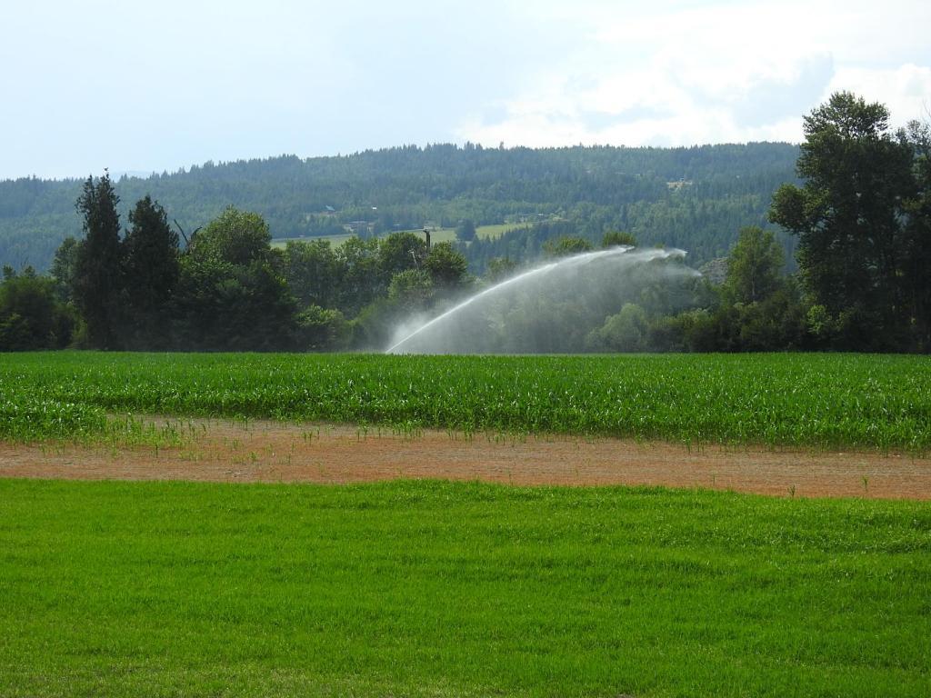 7160 97-A Highway, Grindrod, BC