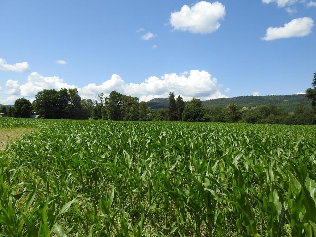 7160 97-A Highway, Grindrod, BC