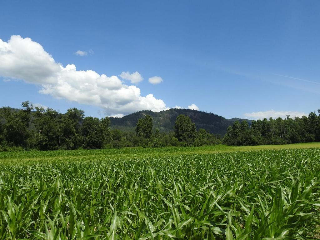 7160 97-A Highway, Grindrod, BC