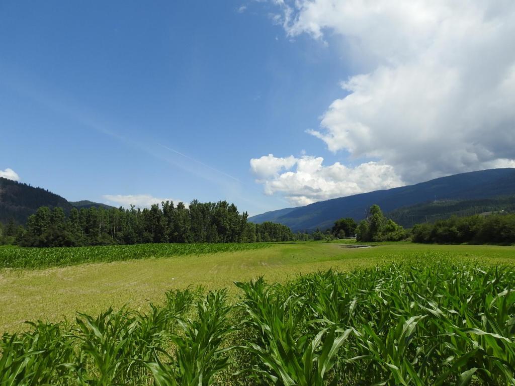 7160 97-A Highway, Grindrod, BC