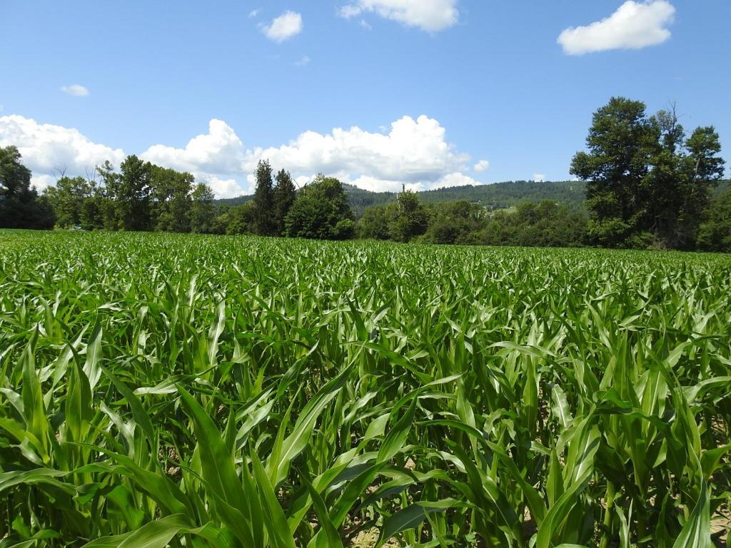 7160 97-A Highway, Grindrod, BC