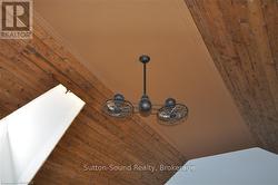 Unusual Ceiling fan -