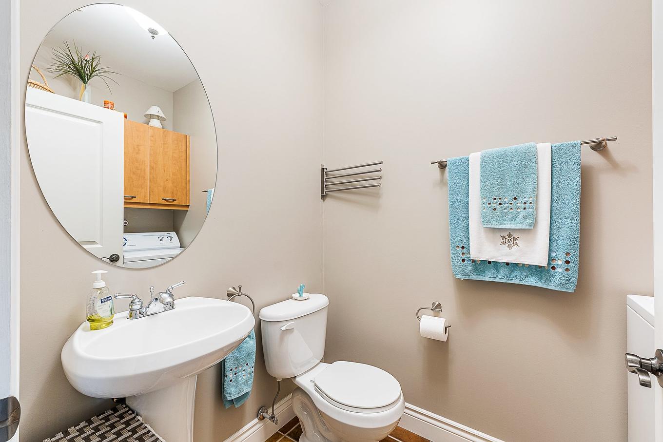 Salle d'eau - 1-1001 Rue Merry N., Magog, QC - Indoor Photo Showing Bathroom