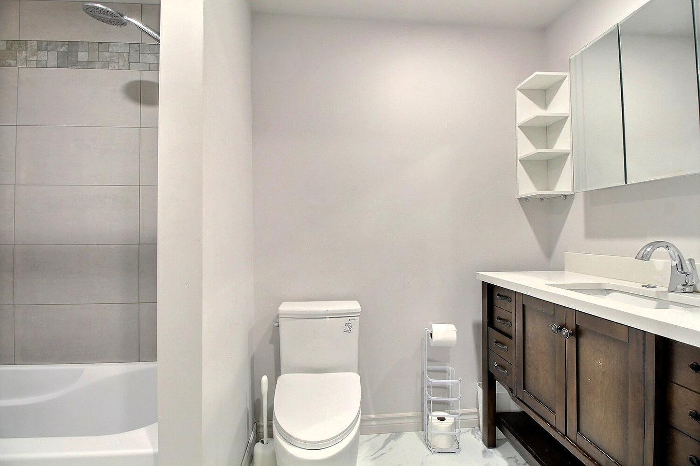 Logement - 6296 Rue Principale, Sainte-Croix, QC - Indoor Photo Showing Bathroom