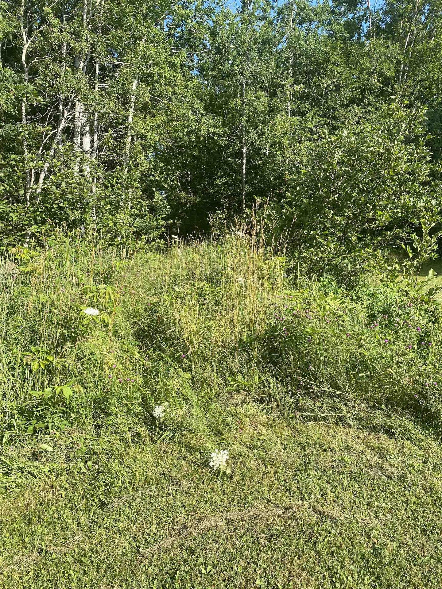 0 Georges River Road, Georges River, NS