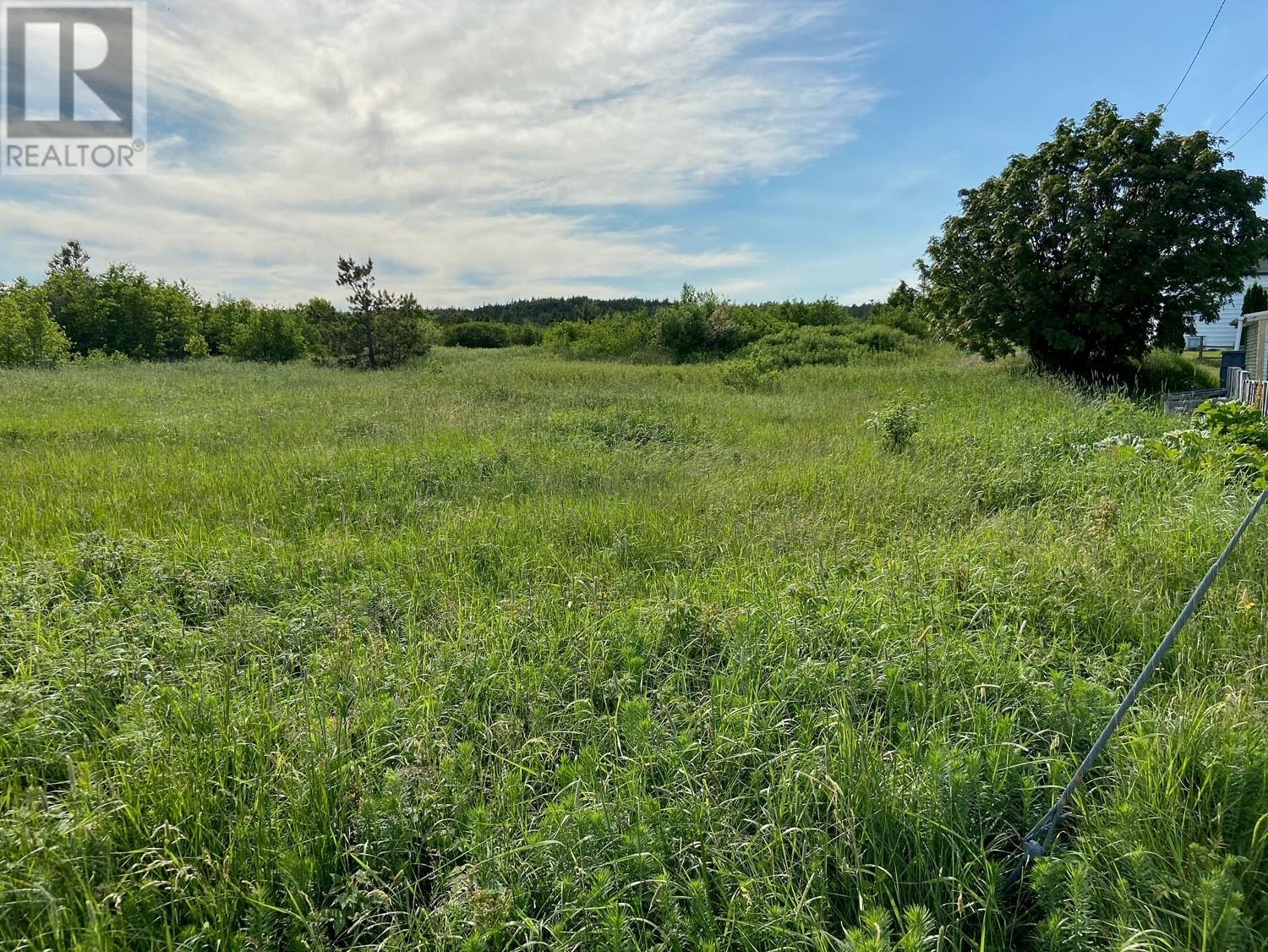 310 A Main Street, Carmanville, NL