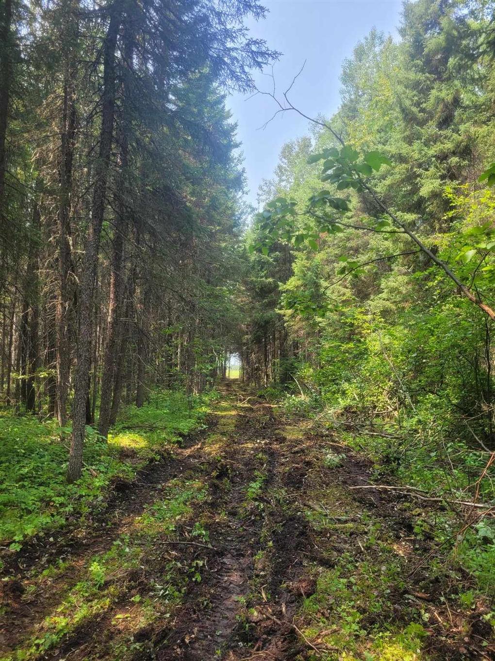 0 Dump Road, Wabigoon, ON